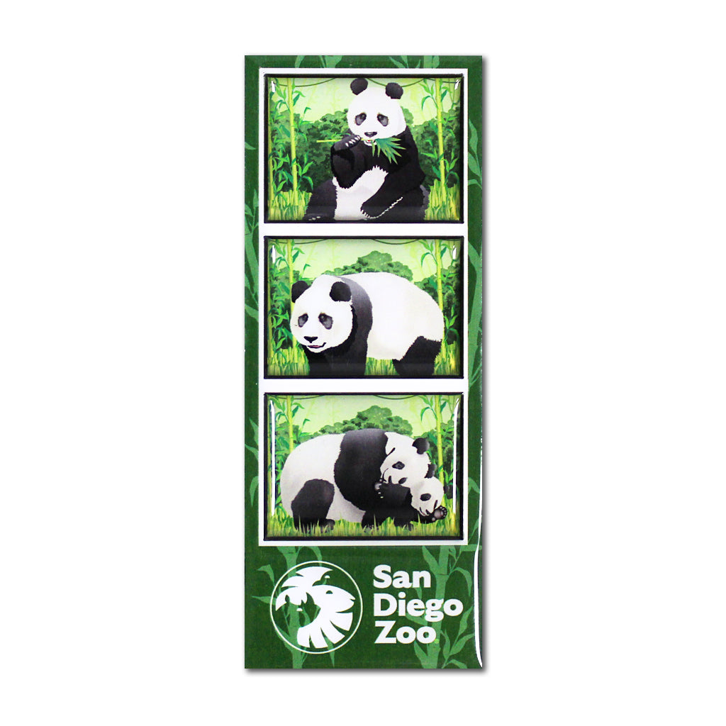 GIANT PANDA FILMSTRIP PHOTO MAGNET SAN DIEGO ZOO SDZWA